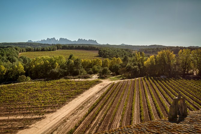 Premium Montserrat & Wine Full Day Tour from Barcelona - Catalan lunch at a castle winery