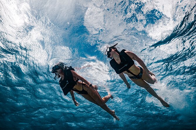 Premium Morning Snorkel Sail with Champagne Brunch - Setting Sail from Pelican Pier at 9 a.m.