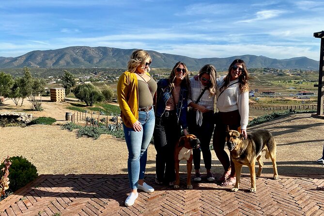 Premium Valle de Guadalupe Wine and Food Tour - What the wine tastings are really worth