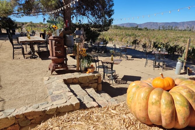 Premium Valle de Guadalupe Wine and Food Tour - The border crossing and the long return