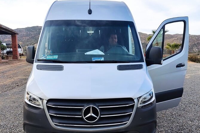 Premium Valle de Guadalupe Wine and Food Tour - Three wineries, with time to taste properly