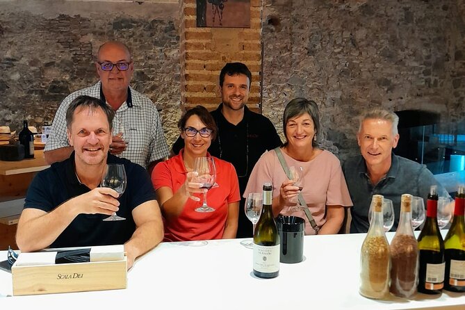 Priorat tour to 3 small wineries and hotel pick-up - Key points at a glance