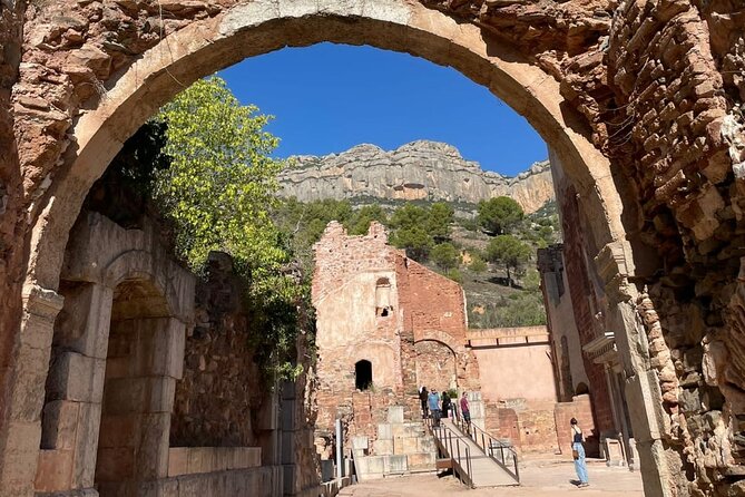 Priorat tour to 3 small wineries and hotel pick-up - Celler Devinssi and very old Carignan vines