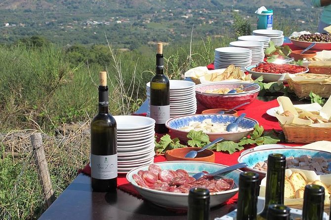 Private 6-Hour Tour of Three Etna Wineries with food&wine tasting - Your guide affects the day
