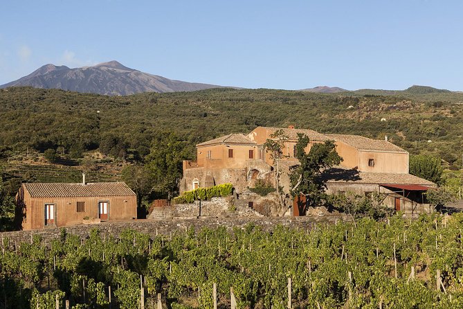 Private 6-Hour Tour of Three Etna Wineries with food&wine tasting - The $375.05 price: where the value lies