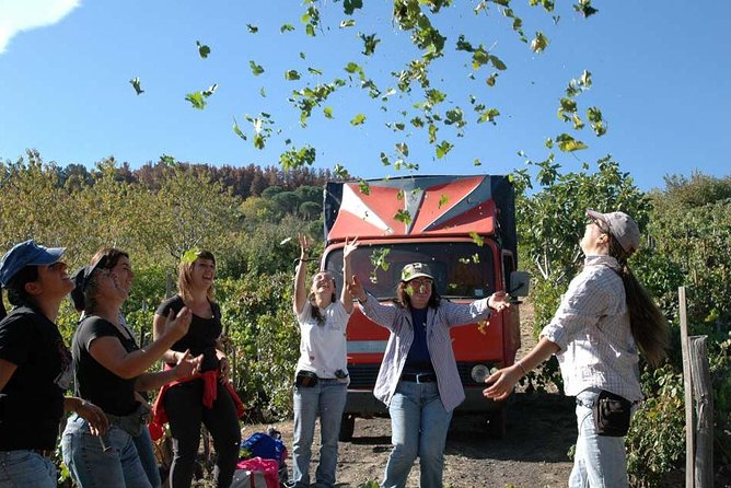 Private 6-Hour Tour of Three Etna Wineries with food&wine tasting - Six hours is enough, with one important warning