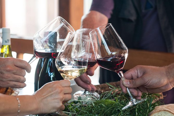 Private 6-Hour Tour of Three Etna Wineries with food&wine tasting - Who will enjoy this Etna tour most