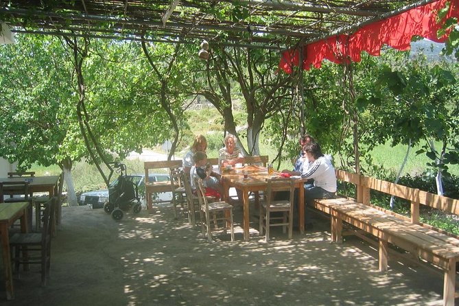 Private Bodrum Village Tour + 1 Glass Free Local Wine - The drive from Bodrum takes you into the countryside