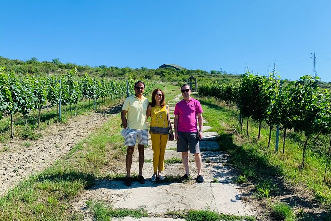 Private Bohemia Wine Tour from Prague with Gourmet Tastings - Why this Bohemia wine day is different