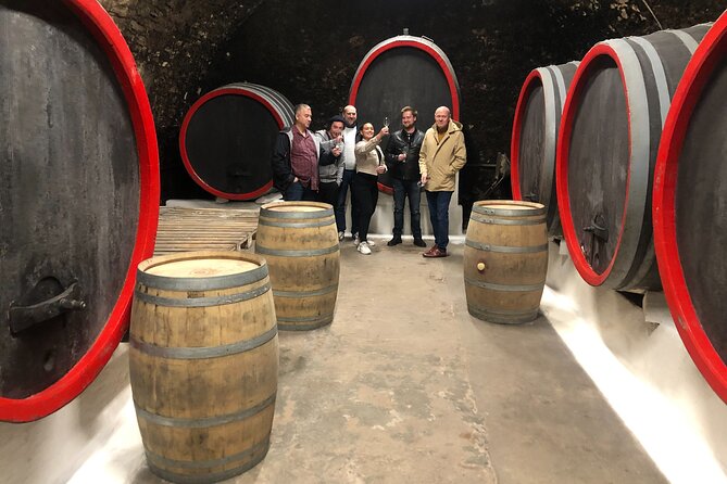 Private Bohemia Wine Tour from Prague with Gourmet Tastings - Trebívlice finishes with a modern estate
