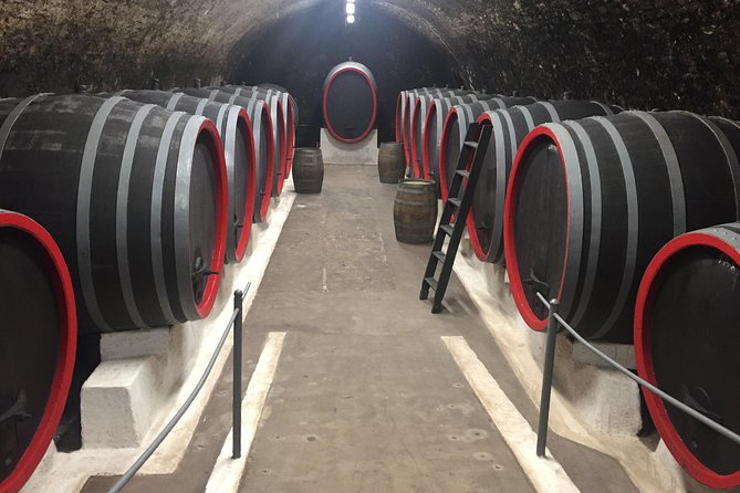 Private Bohemia Wine Tour from Prague with Gourmet Tastings - What the private format really adds