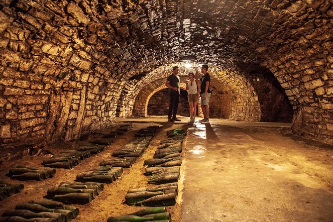 Private Bohemia Wine Tour from Prague with Gourmet Tastings - Mělník Château opens with history and views