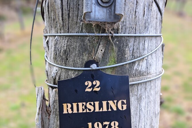 Private Canberra Winery Tour with lunch - Who should book this experience
