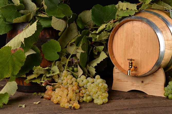 Private Day Tour & Lunch: Parmesan, Wine, and Vinegar Tasting - Who will enjoy this food tour most