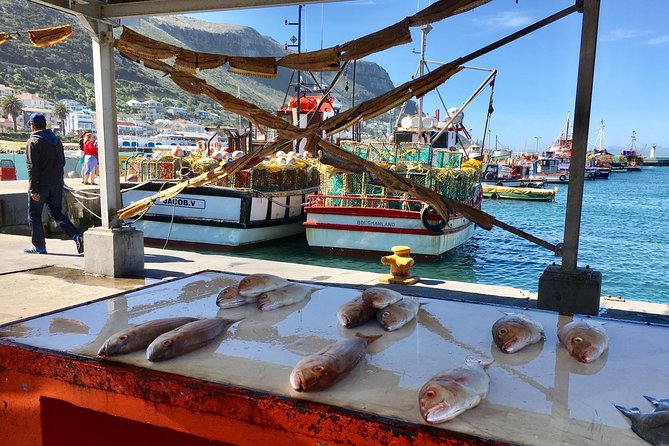 Private Day Tour to Cape Point , Penguins, Wine or Beer Tasting - Hout Bay and the road toward Cape Point