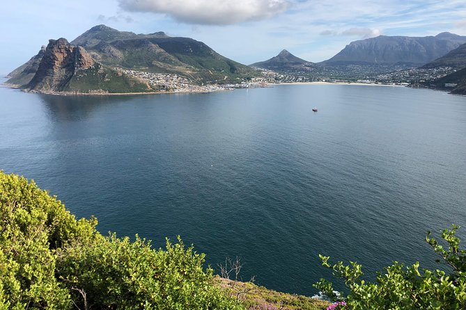 Private Day Tour to Cape Point , Penguins, Wine or Beer Tasting - Long Beach and the ostrich farm