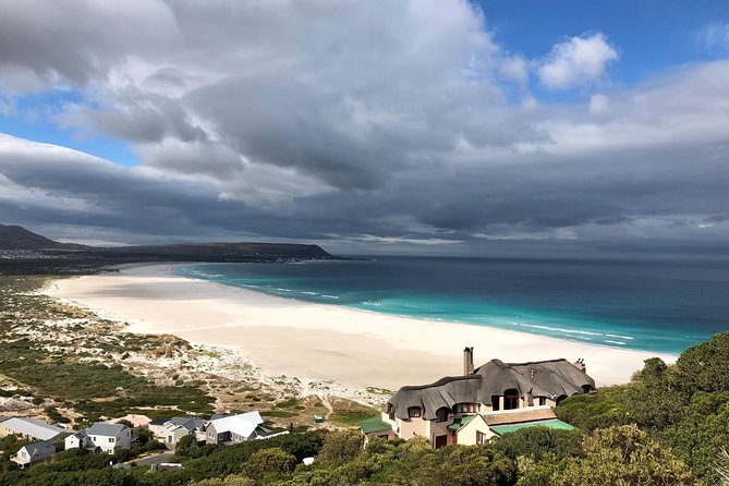Private Day Tour to Cape Point , Penguins, Wine or Beer Tasting - Starting beside Cape Town Stadium