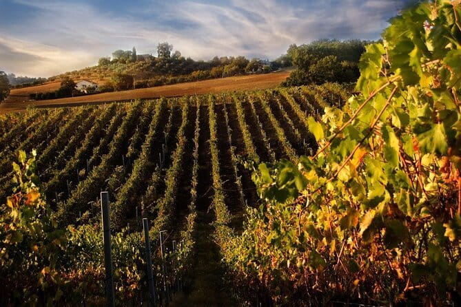 Private Flavors of Florence Walking Tour (Food and Wine Included) - Price, pace, and practical value