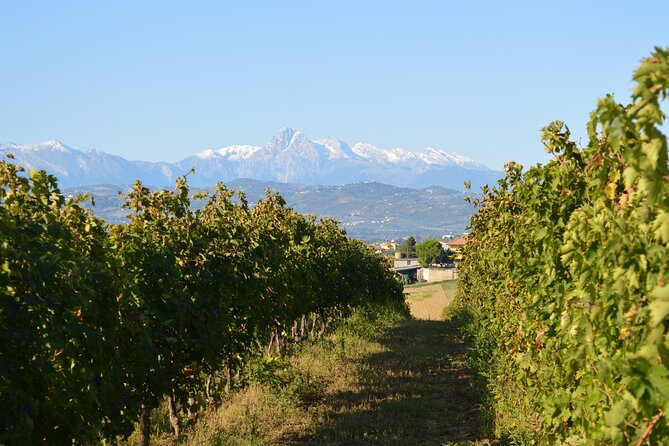 Private Food and Wine Tour in the Cellar with Tastings - Key Points to Know Before You Go