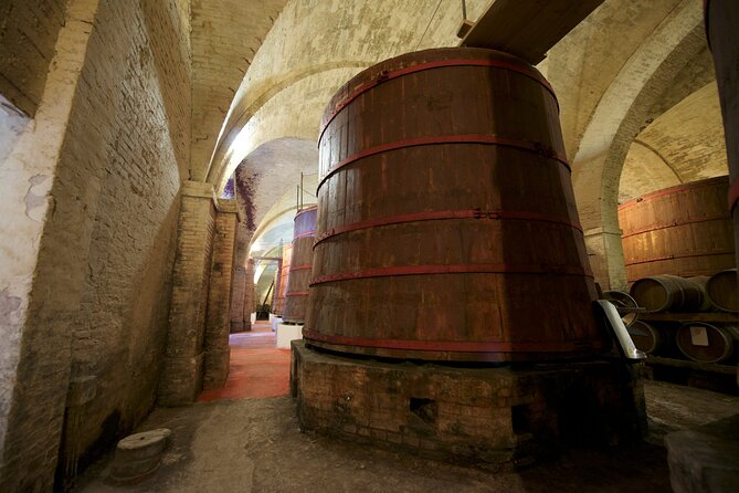 Private Food and Wine Tour in the Cellar with Tastings - Why Cantina Mazzarosa Makes a Good Abruzzo Stop