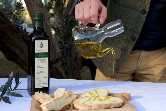 Private Food and Wine Tour in the Cellar with Tastings - Booking, Cancellation, and Timing Advice
