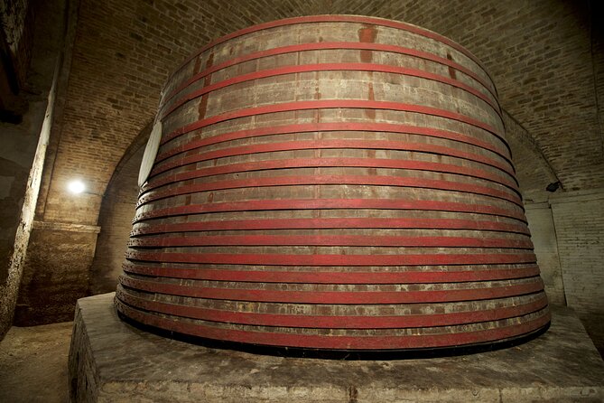 Private Food and Wine Tour in the Cellar with Tastings - Five Wines From Abruzzo, Not Just a Single Pour