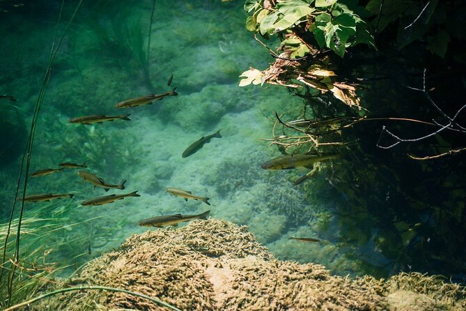 Private Full-Day Krka Waterfalls Tour with Wine Tasting - Leaving Split along the Dalmatian coast