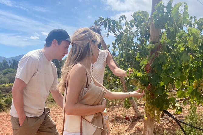 Private Full-Day Wine Tour from Lisbon with Tastings - Why This Day Trip Works Better Than a Wine-Only Outing