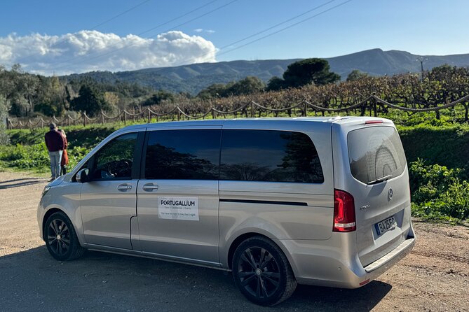 Private Full-Day Wine Tour from Lisbon with Tastings - The Guide Makes the Private Format Worthwhile