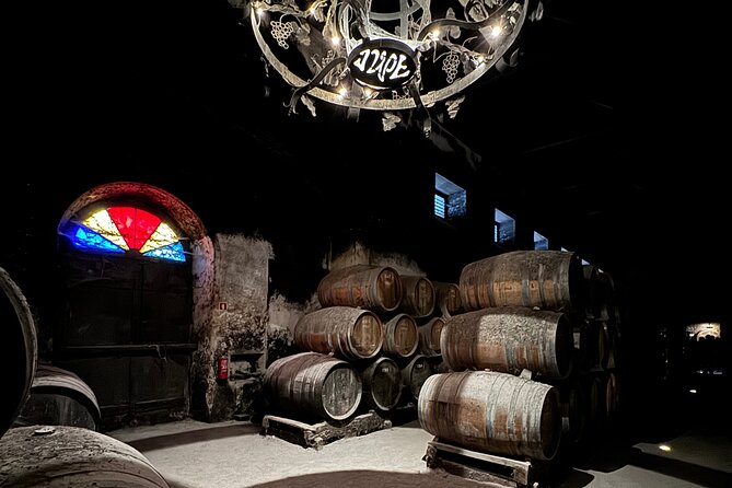 Private Full-Day Wine Tour from Lisbon with Tastings - Arrábida Natural Park Brings the Coast into View