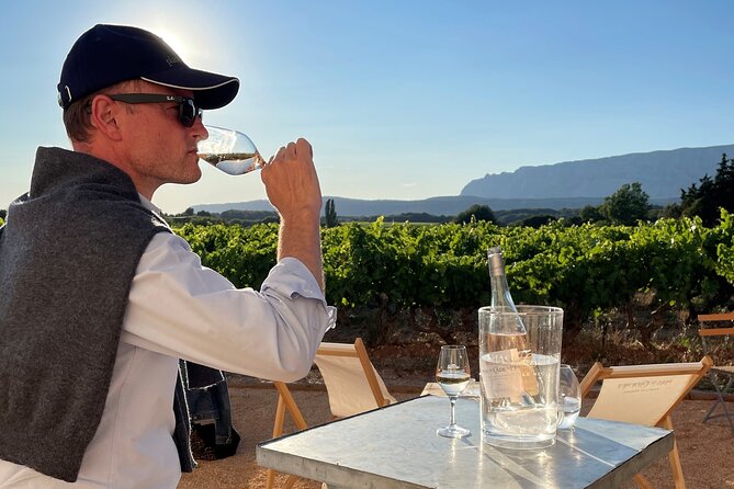 Private Full Day Wine Tour in Provence - Three wineries in one Provence day