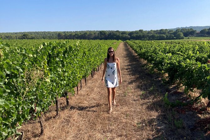 Private Full Day Wine Tour in Provence - A private minivan makes the day easier
