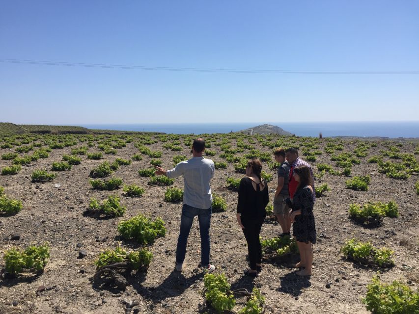 Private Group Visit to Akrotiri & 3 Wineries with Tastings - FAQ
