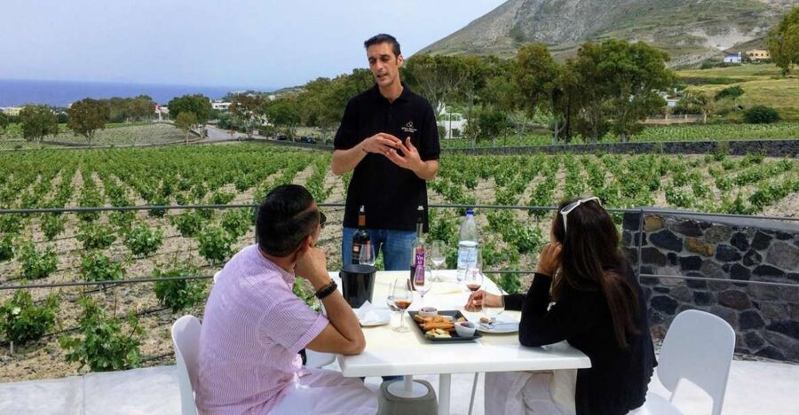 Private Group Visit to Akrotiri & 3 Wineries with Tastings - Should you book the Akrotiri and winery tour?
