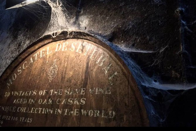 Private Lisbon Arrabida Wine Tour: Food & Wines, Mountain and Sea - Arrábida’s Atlantic viewpoints
