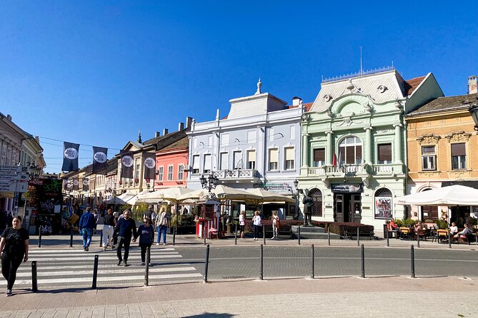 Private Novi Sad, Titanic wine tasting and Farmer's House - Who should book this day trip?