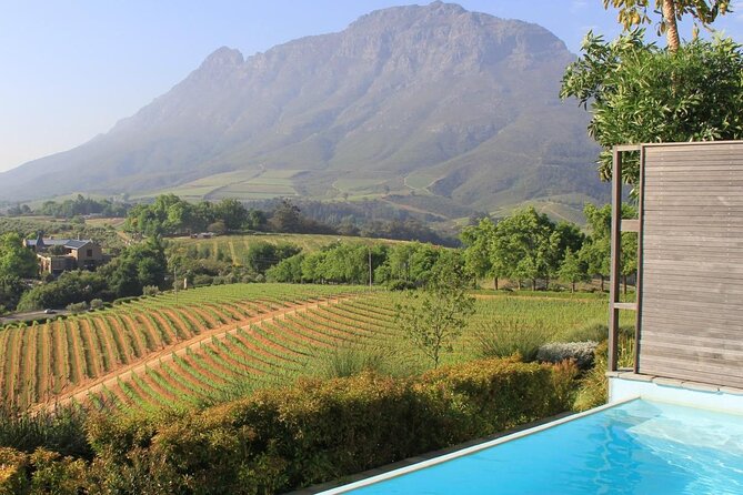 Private Stellenbosch, Franschhoek and Paarl Wine Tour - Avondale: cellar methods and the first tasting