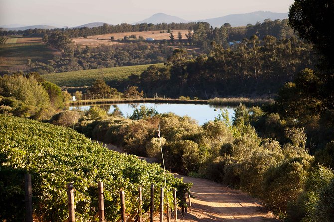 Private Stellenbosch, Franschhoek and Paarl Wine Tour - Glenelly: the long lunch break