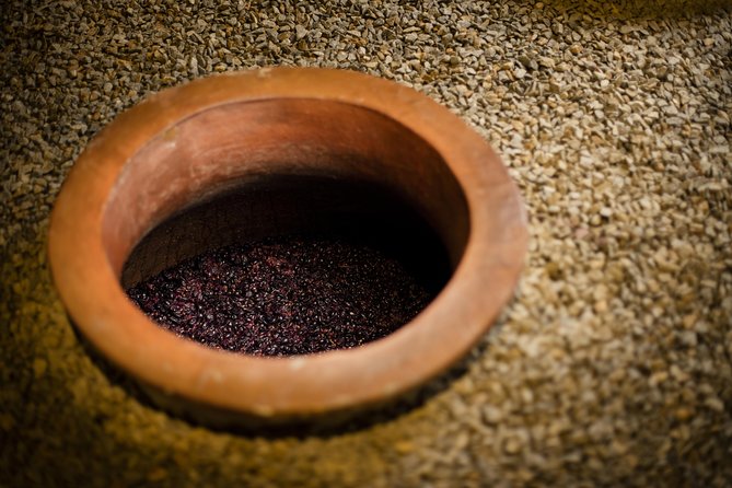Private Stellenbosch, Franschhoek and Paarl Wine Tour - Who will enjoy this wine tour most?
