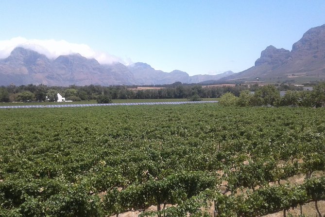 Private Stellenbosch, Franschhoek Paarl Wine Tour from Cape Town - Why this private route works well from Cape Town