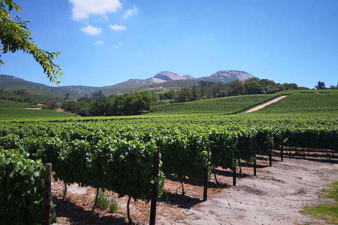 Private Stellenbosch, Franschhoek Paarl Wine Tour from Cape Town - Wine estates and the cost of tasting