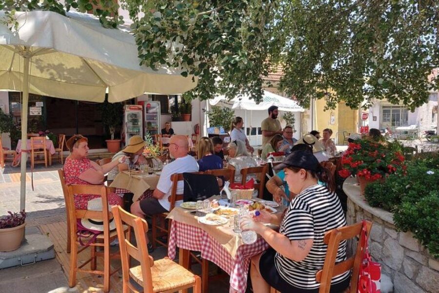 Private tasting of 6 cretan wines in Fres village - Andreas brings science and local stories together