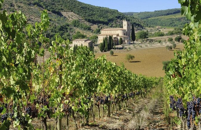 Private Tour: Montalcino Wine Tasting Experience - A Full Day in Brunello Country