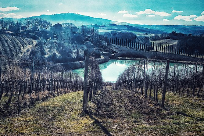 Private Tour: Montalcino Wine Tasting Experience - Eight Hours, With Room for the Pace to Breathe
