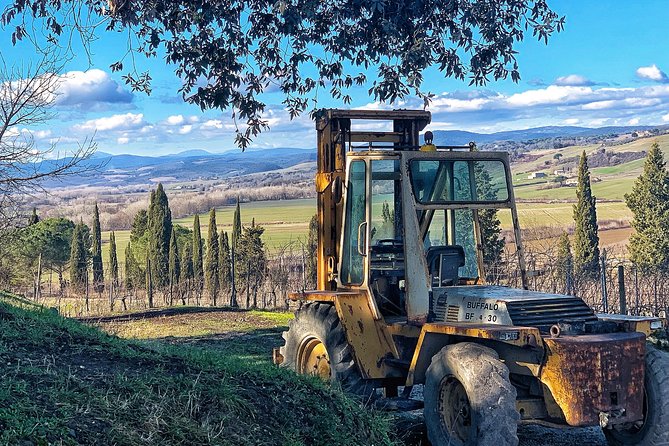 Private Tour: Montalcino Wine Tasting Experience - Who Gets the Best Value