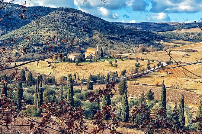 Private Tour: Montalcino Wine Tasting Experience - My Take on the $422.39 Price