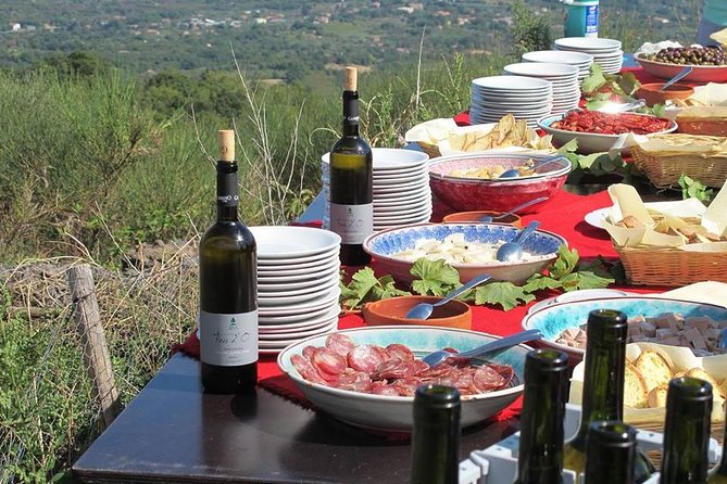 Private tour of Etna and Winery Visit with Food and Wine Tasting from Taormina - The Optional Ride Toward 3,000 Meters
