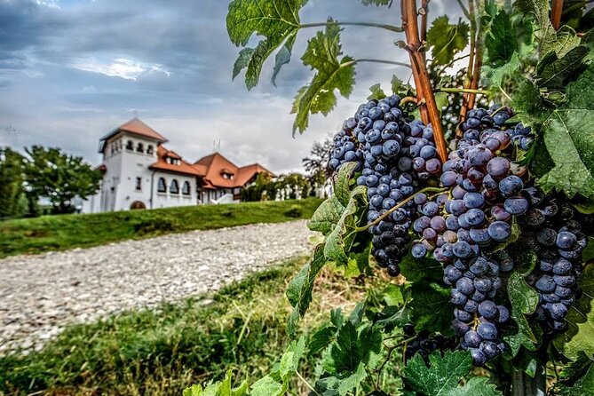 Private Tour to Salt Mine, Lunch at Winery and Dracula Grave - Timing, comfort, and small details that matter