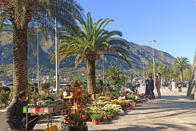 Private Walking tour with Wine and Food - Who should book this Kotor experience?