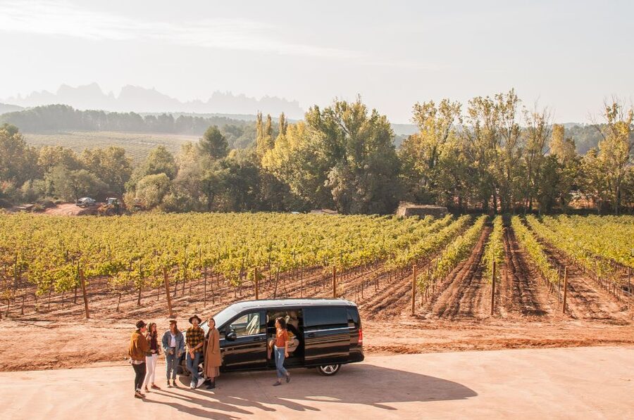 Private Wine, Tapas & Cava Experience from Barcelona - Continuing to Pla de Bages and Oller del Mas